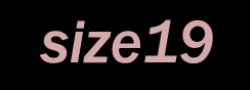 사이즈19